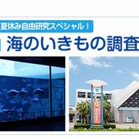 須磨海浜水族園・海のいきもの調査研究会
