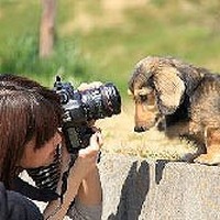 動物の写真撮影体験