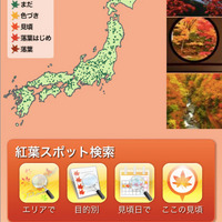 全国の紅葉情報を網羅した「紅葉ch.」