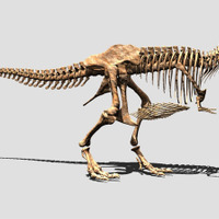 V×Rダイナソー（ティラノサウルス）