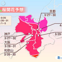 各地の桜開花予想（近畿）