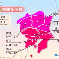 関東地方の桜開花予想