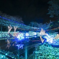 関東最大級のイルミネーションイベント、「さがみ湖イルミリオン」がオープン
