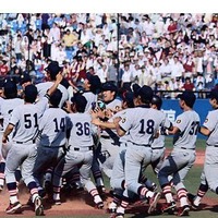 東京六大学野球2014春季リーグ、慶應義塾が6季ぶり34回目の優勝