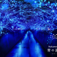 中目黒のイルミネーションイベント「Nakameguro 青の洞窟」