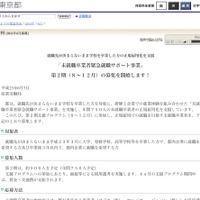 東京都「未就職卒業者緊急就職サポート事業」