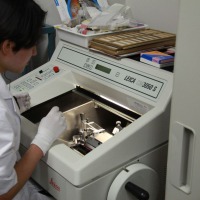 クライオスタットで顕微観察用の薄切切片を作る