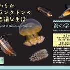 葛西臨海水族園、高校生・大学生対象講座5/31…プランクトンを学ぶ 画像