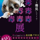 【夏休み】「毒毒毒毒…」毒を持つ生き物を集めた特別展in名古屋6/27から 画像