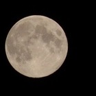 7/31にブルームーン、2回目の満月…青い月が見える？ 画像