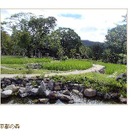 京都市動物園、新エリア「京都の森」オープン9/5 画像