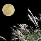 9/27 18時中継スタート！ 中秋の名月・スーパームーン・皆既月食 画像
