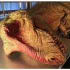 ナガシマスパーランドにナショジオ「恐竜大解剖」ティラノ標本 画像