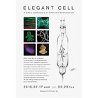 東京大学内で展覧会、細胞とアートの“小さな実験室” 画像