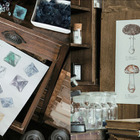 完成させて自分だけの図鑑に「鉱物と理科室のぬり絵」 画像