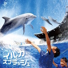 【夏休み2016】京都水族館でイルカとずぶぬれ水遊び7/23スタート 画像