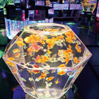 史上最大、8千匹の金魚アートアクアリウム「江戸・金魚の涼」9/25まで 画像