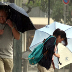 【台風13号】関東雨のピークは9/7夜、学校や地域で異なる休校基準 画像