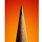世界的アーティストが使用した“鉛筆”の写真展…売上の一部を寄附 画像