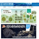 埼玉県立自然の博物館、カエデのライトアップ11/12-27 画像