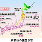 桜前線ゆっくり北上、関東は入学式シーズンに満開か 画像