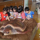 鴨シー「ウミガメ移動教室」千葉県内の学校対象に4/10より予約受付開始 画像