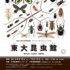 【夏休み2017】歴史的標本を展示「東大昆虫館」講演会6/10-10/14…野外活動も