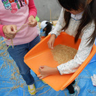 首都高、埼玉・東京で子ども自然体験イベント 画像