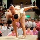 目指せ小学生力士の頂点「わんぱく相撲全国大会」両国7/30 画像