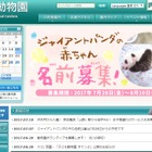 上野動物園、ジャイアントパンダの赤ちゃんの名前募集 画像