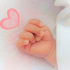2017年の赤ちゃん名づけ総合年間トレンド、1位は「心桜」 画像