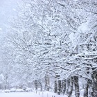 「除雪は必ず2人以上で」雪かき・雪下ろしの安全情報…内閣府 画像