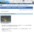 愛知県の小学生親子対象「金魚の学校」応募は6/15まで 画像
