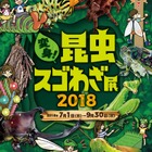 【夏休み2018】オービィ横浜、バーチャルとリアルで楽しむ2大昆虫展 画像