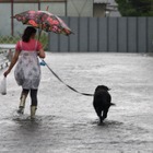 西日本で記録的な大雨、大阪や京都で休校相次ぐ…各地の判断基準