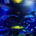 サンシャインシティでお月見イベント、水族館の水槽ライトアップなど 画像