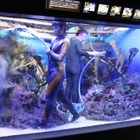 サンシャイン水族館、年に数回の「水槽ピカピカ大作戦」9月 画像