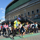 家族や仲間と、阪神甲子園球場でリレーラン…募集9/10から 画像