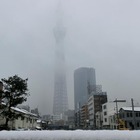 東京スカイツリー、本日雪の中完成 画像