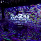 体験型デジタルアート「光の深海展」横浜10/11-1/27 画像
