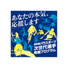 東京都パラスポーツ次世代選手発掘プログラム、参加者募集 画像