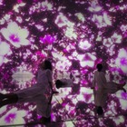 チームラボの水に入るミュージアム、3/1より桜の演出 画像