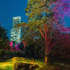 【夏休み2020】天王寺動物園、夏のナイトZOO参加者募集 画像