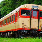 いすみ鉄道で四国の気動車急行が復活…ヘッドマーク取付運行 画像