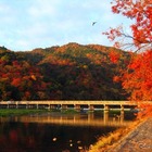 北日本は紅葉シーズンへ…ウェザーニューズ「見頃予想」 画像