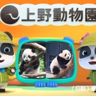 ベビーバスと上野動物園コラボ「双子のパンダ成長動画」無料公開 画像