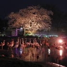【春休み2022】東武動物公園「春のナイトZOO」 画像