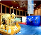 麻布大学「バーチャルいのちの博物館」オンライン開館 画像