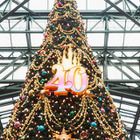 ディズニー・クリスマス、約15メートルの巨大ツリー 画像