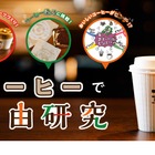 【自由研究】コーヒーで自由研究…学研キッズネット×セブンイレブン 画像
